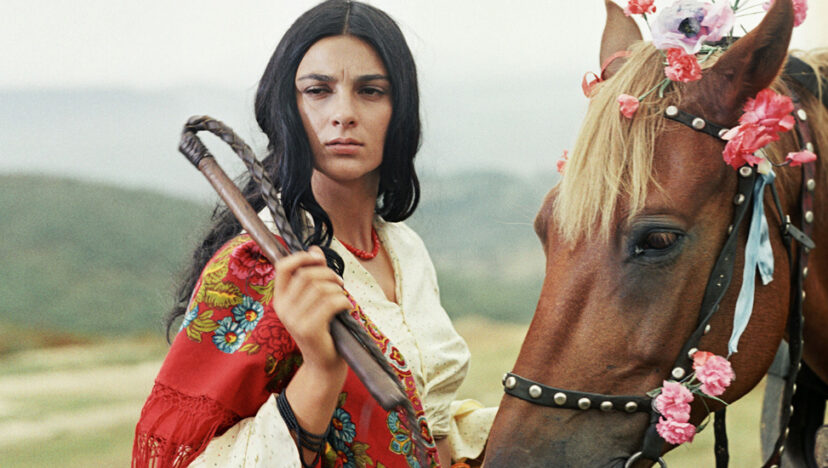 সেলুলয়েড I জিপসিজ আর ফাউন্ড নিয়ার হেভেন